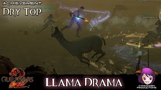 Guild Wars 2  - Llama Drama