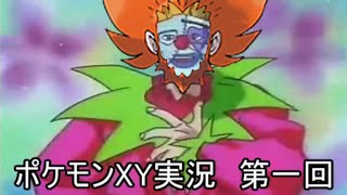 【 ポケモンXY】キャラポケモン「限定」ランダムレート【 第1回】
