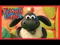 Timmy S Picnic Timmy Time Full Episode