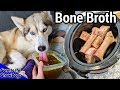 Can I Give My Dog Store Bought Bone Broth Download Youtube Videos Mp3
and Mp4