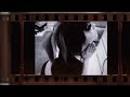 Hoshie Star Horny Club Party Official Lyric Video