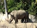 Detroit Zoo 10 10 11