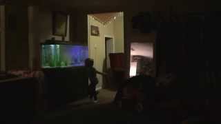 Reagan the ninja!!!!