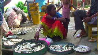 Fish Market, Assam