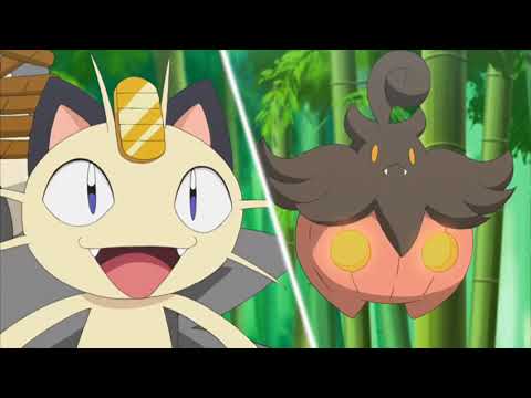 Pokemon XY Pumpkaboo Pokedex Data
