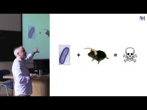 From Mild to Murderous: How Yersinia pestis Evolved to Cause Pneumonic Plague