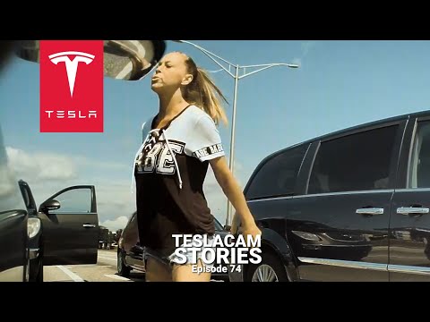 ข่าว tesla