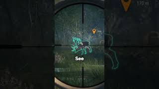 I ALMOST DESTROYED the CRAZIEST RARE in Scotland!!! 😳😳😳 #shorts