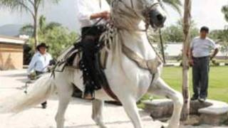 CABALLITO DE OTATE JOAN SEBASTIAN