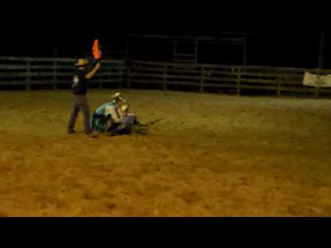 Cadee goats 091016 NCYRA