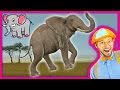 Learn About Animals For Toddlers Funny Zoo Animal Sounds Elephants With Blippi