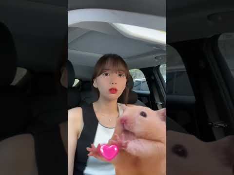 Yoonjo Instagram Live