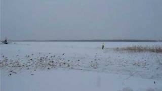 preview picture of video 'Plane crash in Estonia Tallinn/Ülemiste Lake, AN-26 Poland DHL emergency landing (26)'