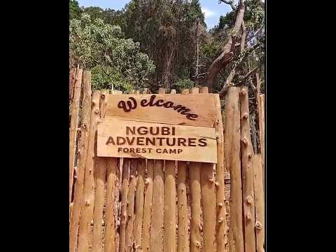 Ngubi Adventures Forest Camp: Walkthrough