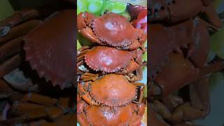 Download lagu #mudcrabs or alimango😋 mp3