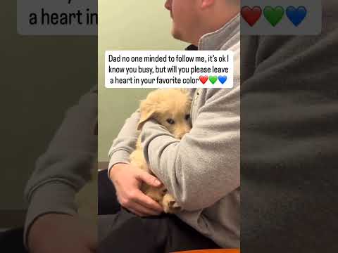 please donate food if you can link in our bio #NYC#LosAngeles#Chicago#Texas#Florida#california