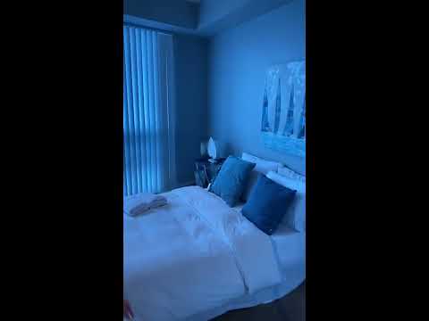 Toronto Maids video.