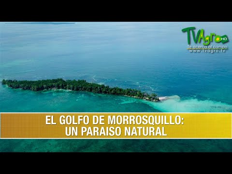Visiting the Gulf of Morrosquillo: A Natural Paradise - TvAgro by Juan Gonzalo Angel Restrepo