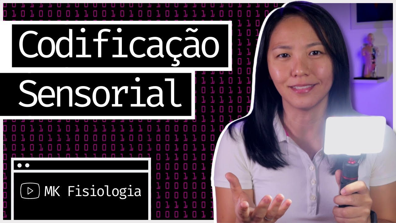 CODIFICAÇÃO SENSORIAL: MODALIDADE, LOCALIZAÇÃO, INTENSIDADE E DURAÇÃO DOS ESTÍMULOS | MK Fisiologia