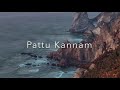Pattu Kannam Kakki Sattai LP 192khz 24 Bit
