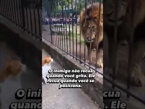 Assistir no YouTube