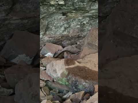 Sucuri filmada na Cachoeira do Itambé em Aloândia - GO #natureza #viagem #sucuri #cobra #animal