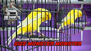 Download lagu May 30, 2026 ALL THE MONSTER'S ATERIALS ARE OUT. mp3