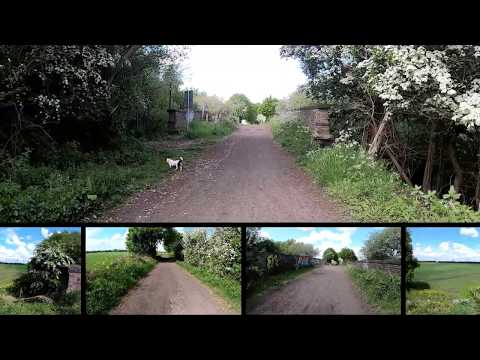 Carrington Moss Walk