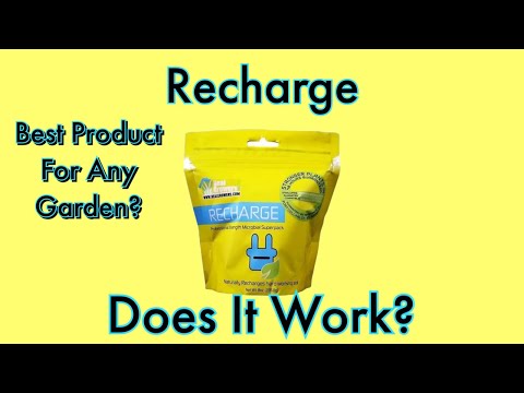 Is Recharge Worth It?