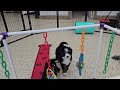 Mini Bernedoodle dogs for sale: Louise - Video 1
