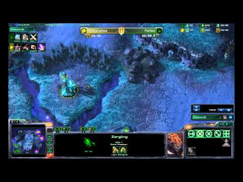 (HD) Spanishiwa vs Perfect zvp Starcraft 2