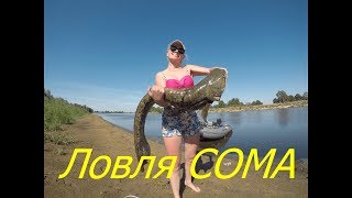 Ссылка