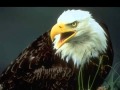 The Magic of Rebirth / Wisdom of the Eagles 