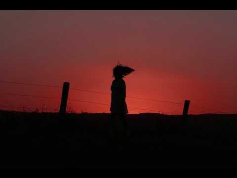 We Are Creepz - Night of Harmony