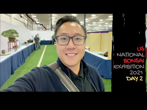 7th US national Bonsai Exhibition - DAY 2/4 #USNATIONALBONSAI