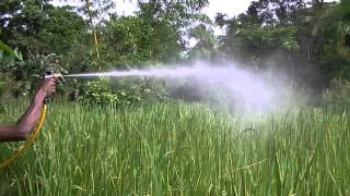 preview picture of video 'SUDU HEENATI, Bio Fertilizer Spreading pressure'