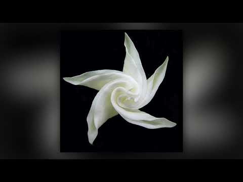 WIFIGAWD x THE KHAN x TRiPPJONES x CASHY - EARLY BIRD (Prod. by TONY SELTZER x LORD PUSSWHIP)