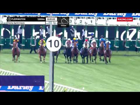 2019 Darley Sprint Classic - Nature Strip