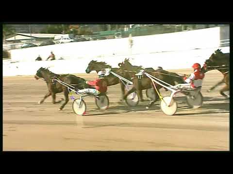 Trotto 28/02/2020 - 2ª corsa