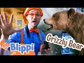 Blippi Visits MK Nature Center Blippi Kids Songs Moonbug Kids