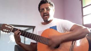 TODA COR - TITÃS (homenagem a Ciro Pessoa) Willis Rodrigues - cover.