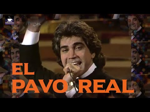 EL PAVO REAL - José Luis Rodríguez (el puma) / - HQ Audio Remaster @enzo_gd