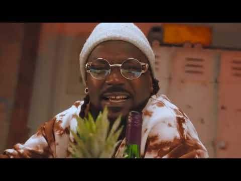 Samini - Abundance (Official Music Video)