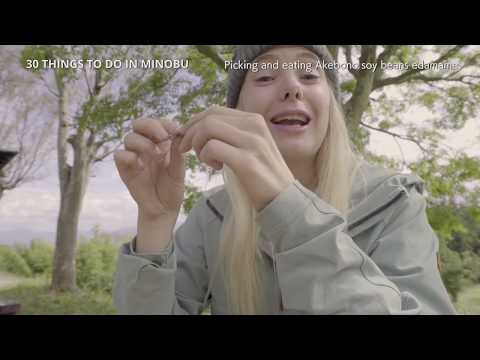 15 Picking and eating Akebono soy beans edamame in Minobu Shizen no Sato