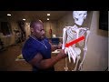 Tricep Training ** Take Pressure Off the Joints ** Elbow Pain