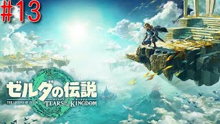 【ゼルダの伝説 ティアーズ オブ ザ キングダム】
#13