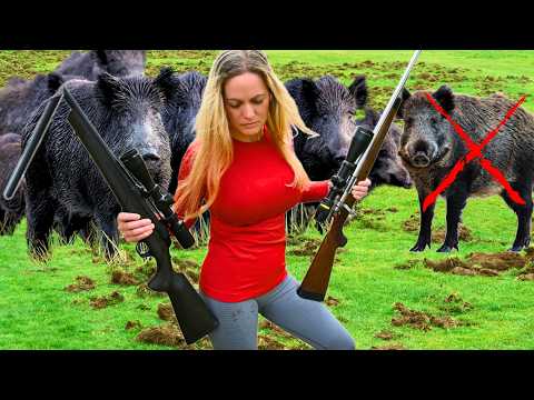 My 6.5 Creedmoor BROKE! The Truth Behind My Missed Shots