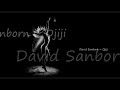 David Sanborn ~Ojiji