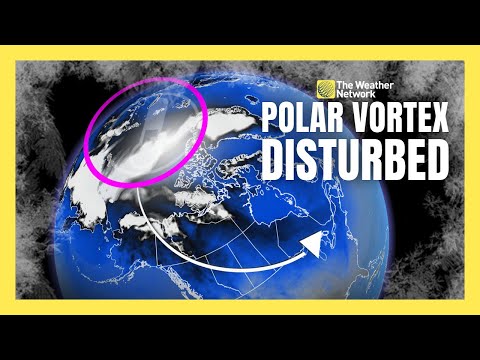 Polar Vortex Disturbed: A Rare Sudden Stratospheric Warming Begins | #forecast