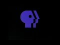 PBS Public Broadcasting Service WTVS Logo 1985 Upscaled 4k